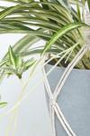 Homescapes Artificial Hanging Basket Spider Plant, 95 cm thumbnail 4