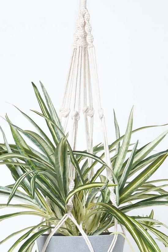 Homescapes Artificial Hanging Basket Spider Plant, 95 cm 5