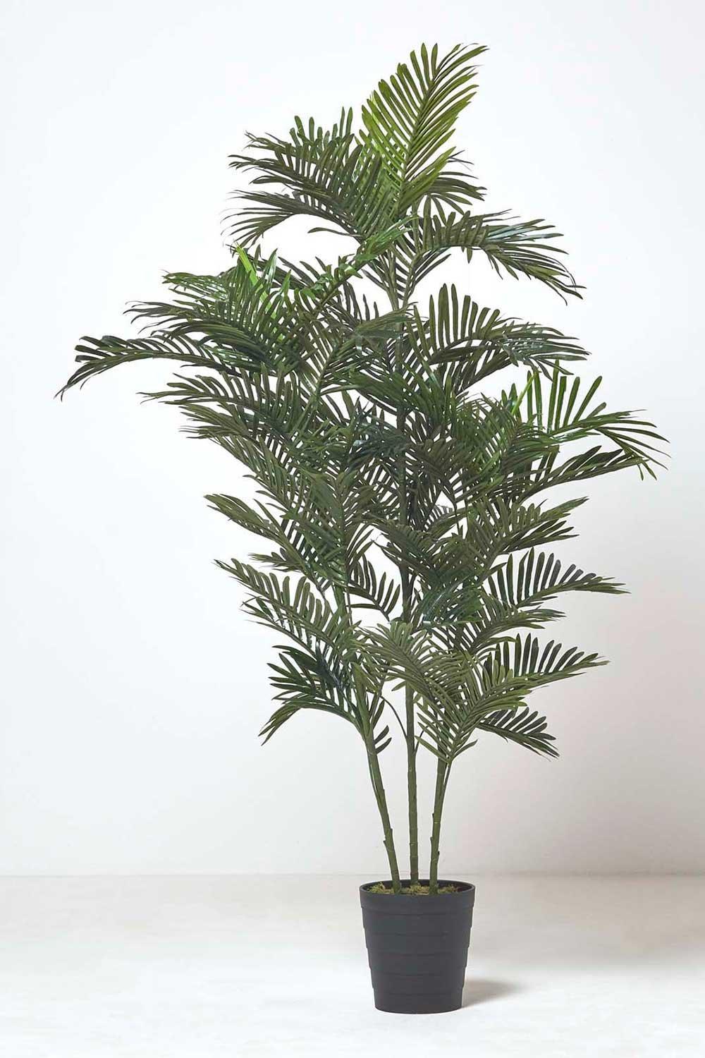 Areca Palm Tree in Pot, 120 cm Tall