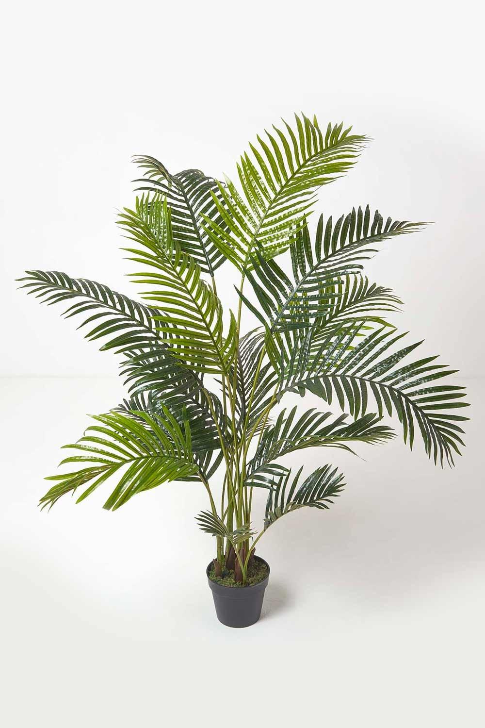 Areca Palm Tree in Pot, 160 cm Tall
