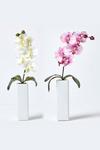 Homescapes Set of 2 Orchids in Thin Cream Vases, 43 cm thumbnail 1