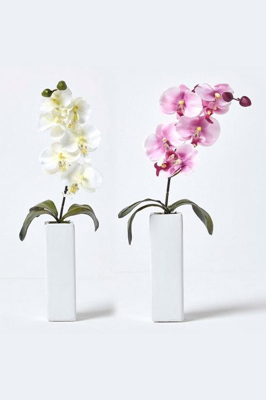 Homescapes Set of 2 Orchids in Thin Cream Vases, 43 cm 1