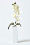 Homescapes Set of 2 Orchids in Thin Cream Vases, 43 cm thumbnail 2