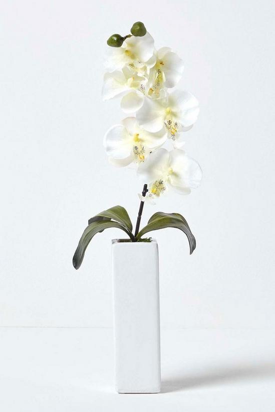Homescapes Set of 2 Orchids in Thin Cream Vases, 43 cm 2