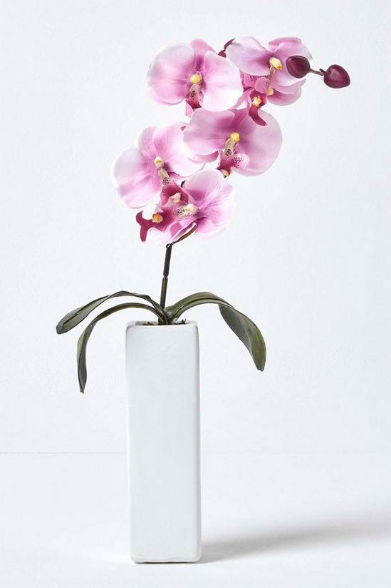 Homescapes Set of 2 Orchids in Thin Cream Vases, 43 cm 3