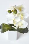 Homescapes Set of 2 Orchids in Thin Cream Vases, 43 cm thumbnail 4