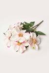 Homescapes Set of 2 Pink and Cream Artificial Magnolia Bouquet Arrangements thumbnail 4