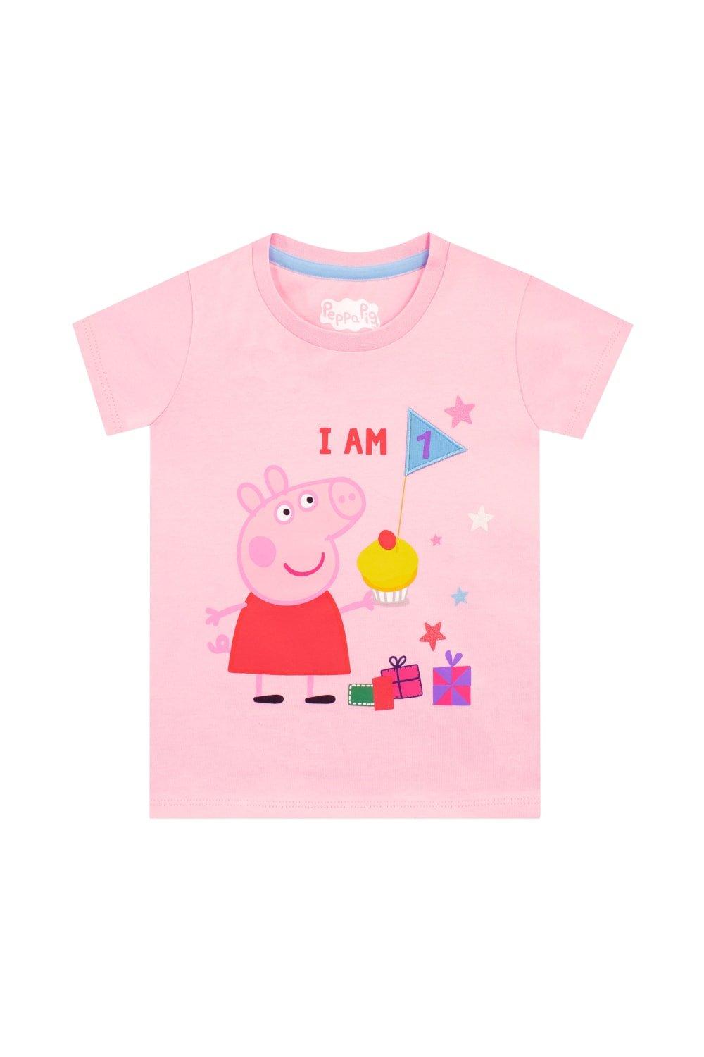 I Am 1 Birthday T-Shirt
