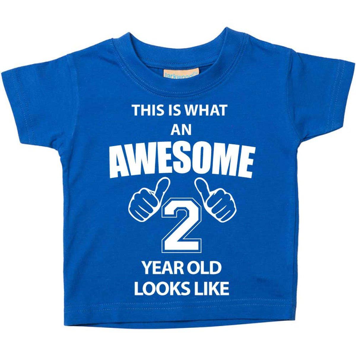 This is What An Awesome 2 Year Old Looks Like Blue Tshirt