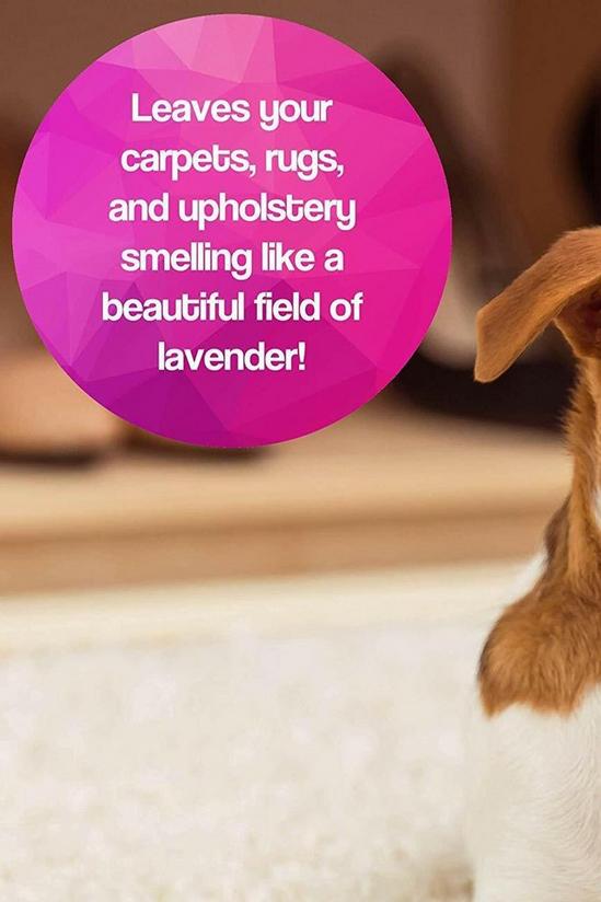 Pretty Pooch Pet Carpet Shampoo Lavender Fragrance Odour Neutralising 2 x 5L 6