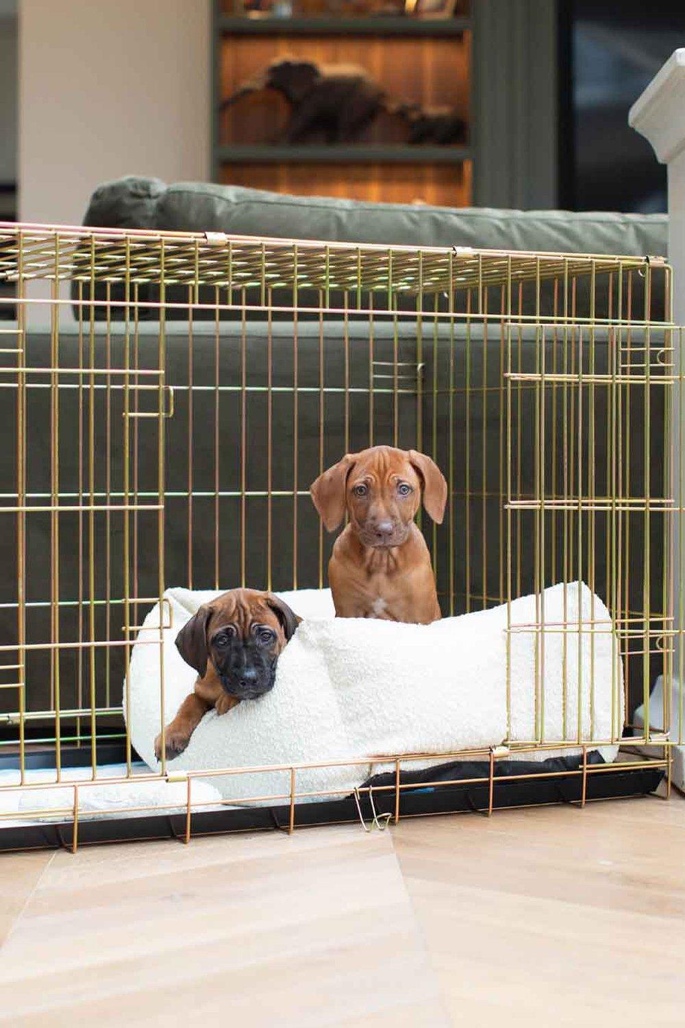 Boucle Cosy & Calm Puppy Crate Bed