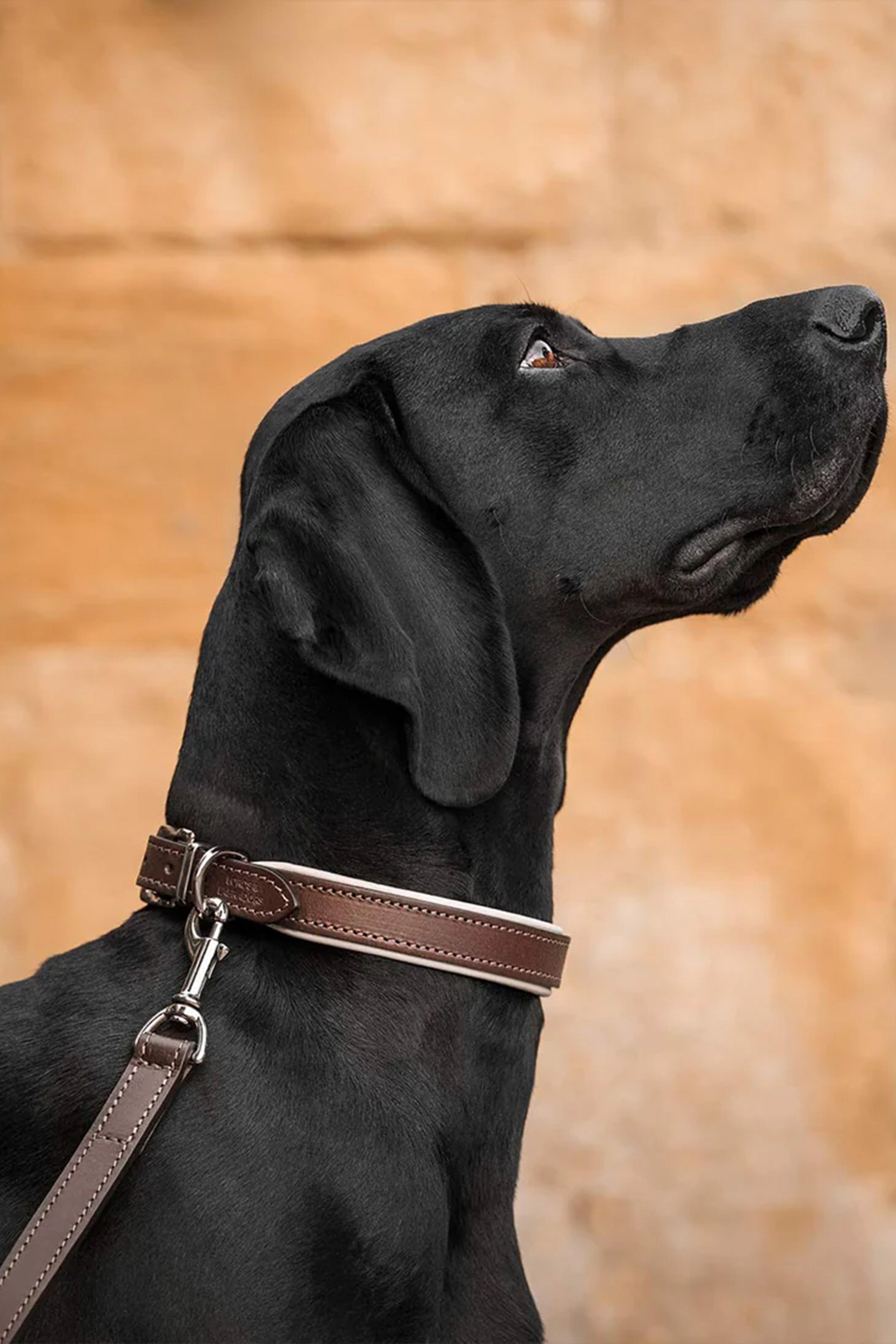 Italian Leather Dog Lead