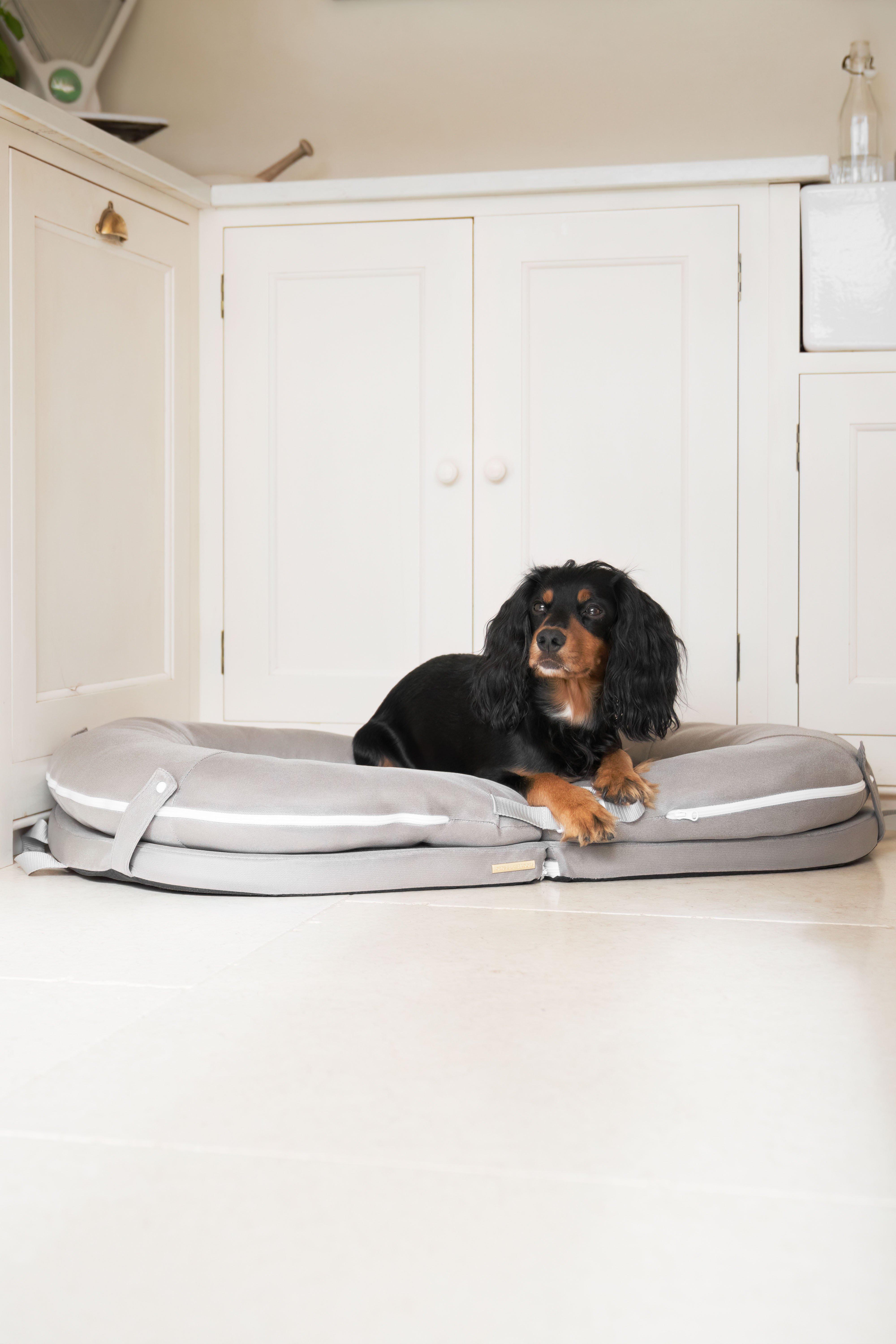 The Ultimate Capsule Dog Bed