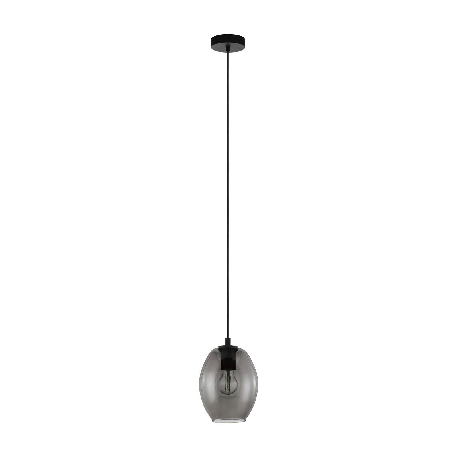 Pendant Ceiling Light Black Shade Black Transparent Smoked Glass E27 1x40W