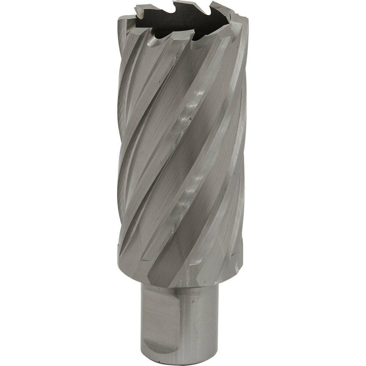 31mm x 50mm Depth Rotabor Cutter - M2 Steel Annular Metal Core Drill 19mm Shank