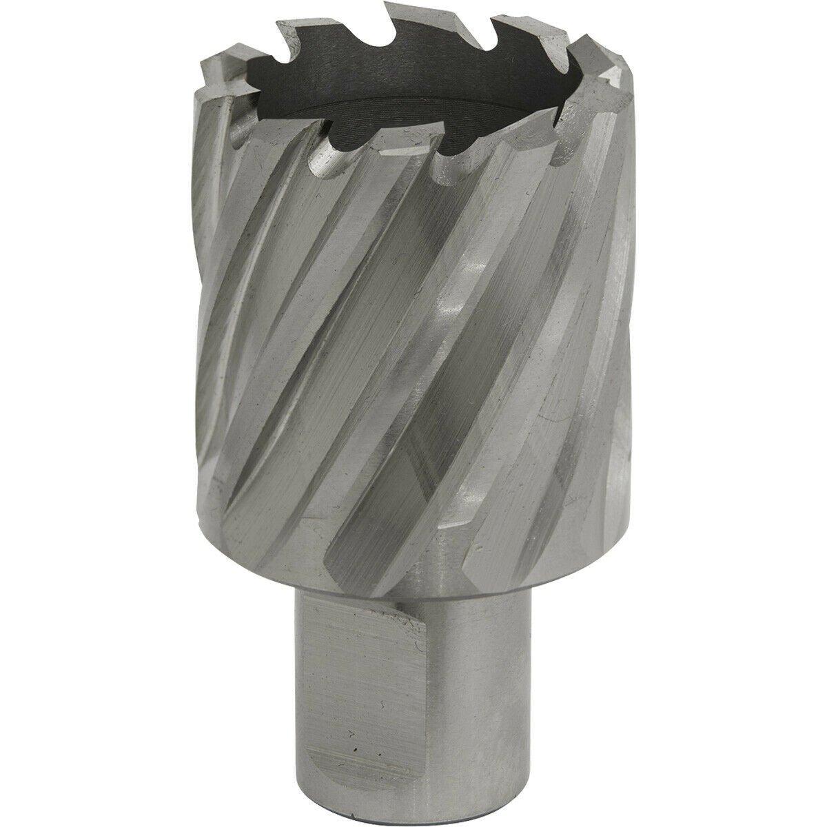 34mm x 25mm Depth Rotabor Cutter - M2 Steel Annular Metal Core Drill 19mm Shank