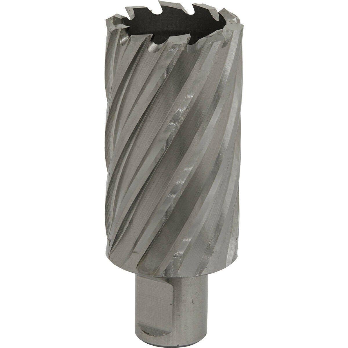 35mm x 50mm Depth Rotabor Cutter - M2 Steel Annular Metal Core Drill 19mm Shank