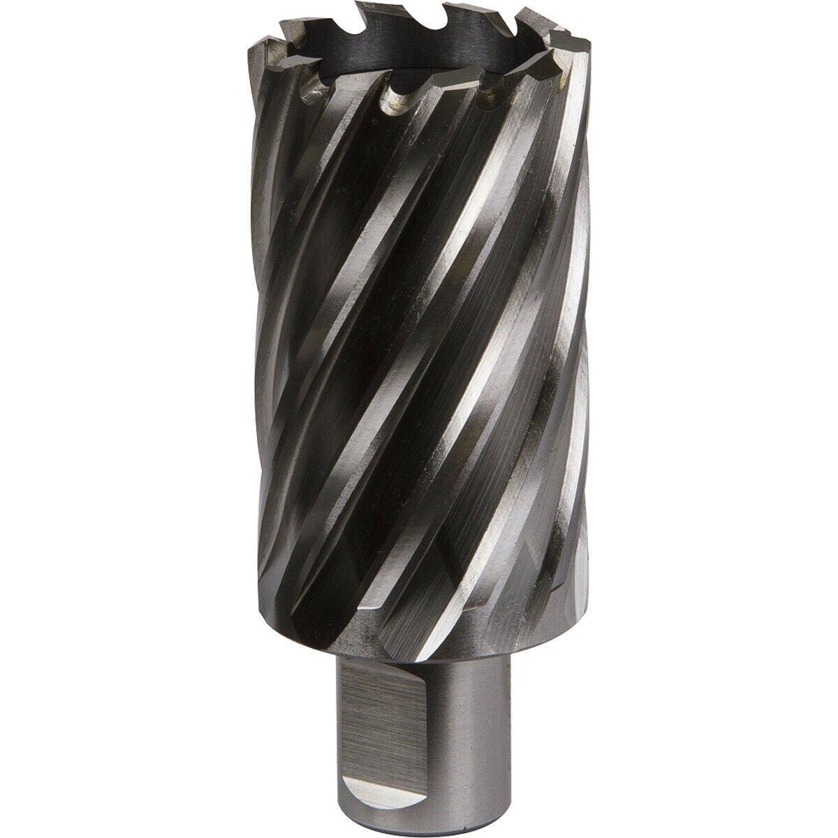 36mm x 50mm Depth Rotabor Cutter - M2 Steel Annular Metal Core Drill 19mm Shank