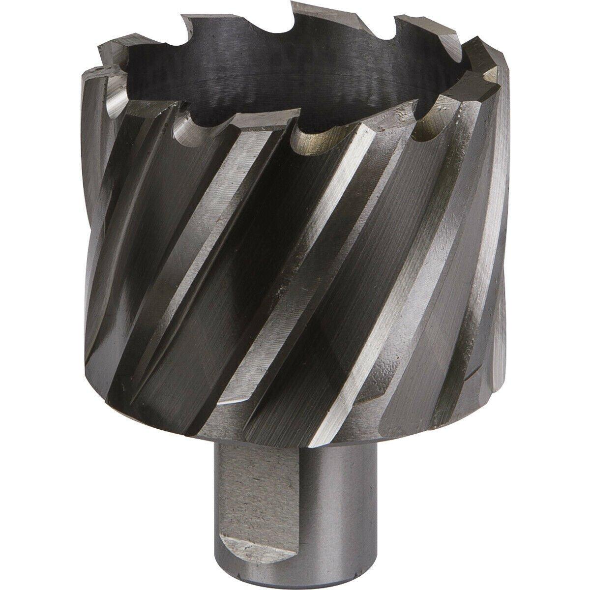 49mm x 25mm Depth Rotabor Cutter - M2 Steel Annular Metal Core Drill 19mm Shank