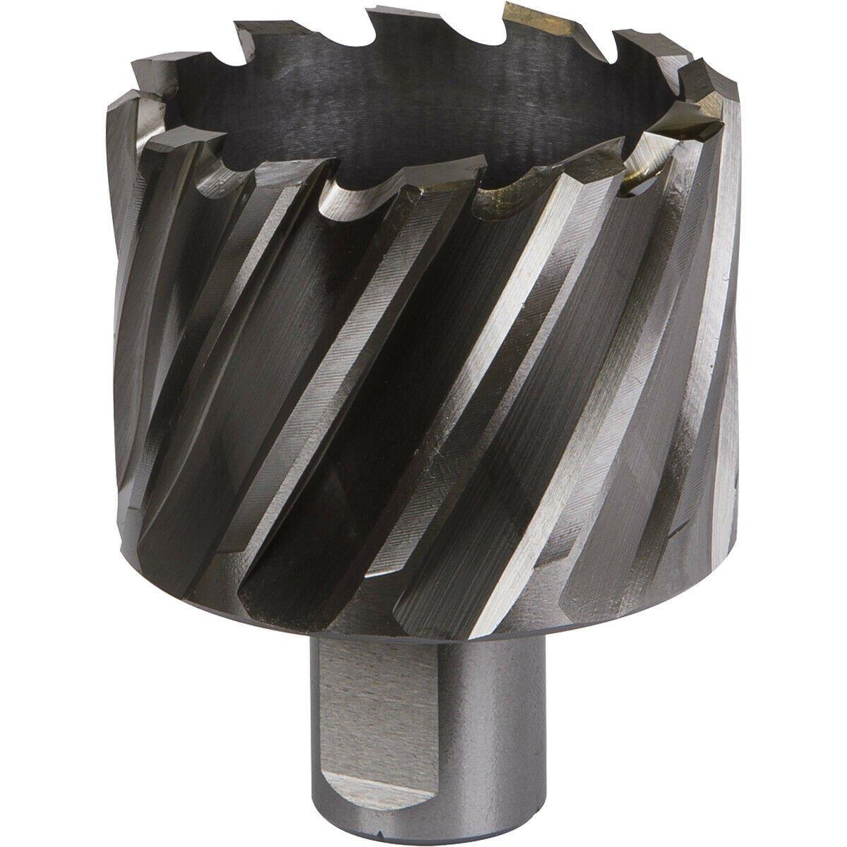 50mm x 25mm Depth Rotabor Cutter - M2 Steel Annular Metal Core Drill 19mm Shank