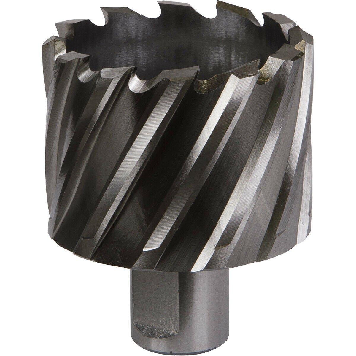 51mm x 25mm Depth Rotabor Cutter - M2 Steel Annular Metal Core Drill 19mm Shank