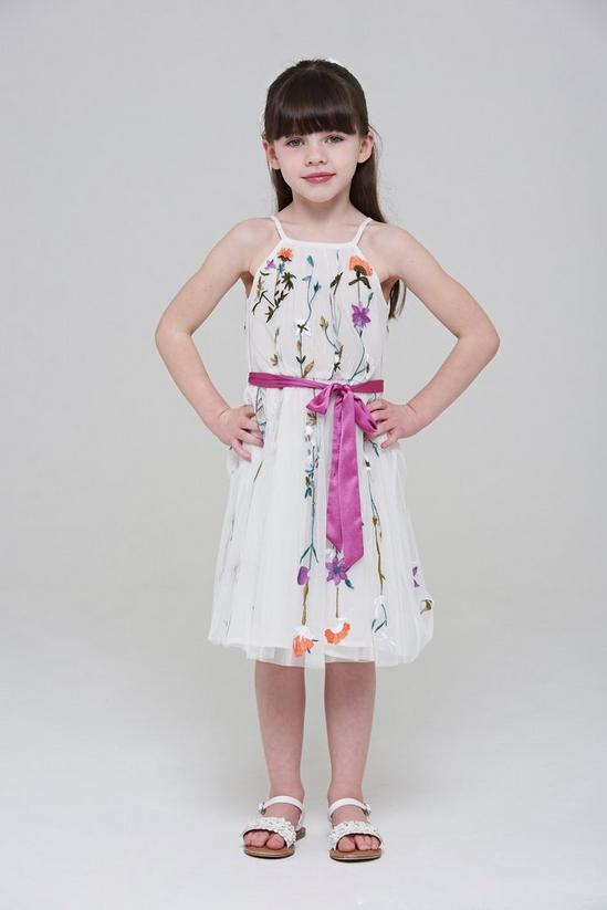 Amelia Rose Floral Embroidered  Dress 1