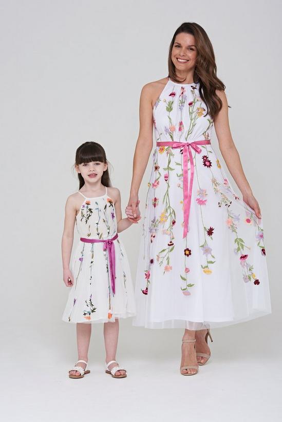 Amelia Rose Floral Embroidered  Dress 4