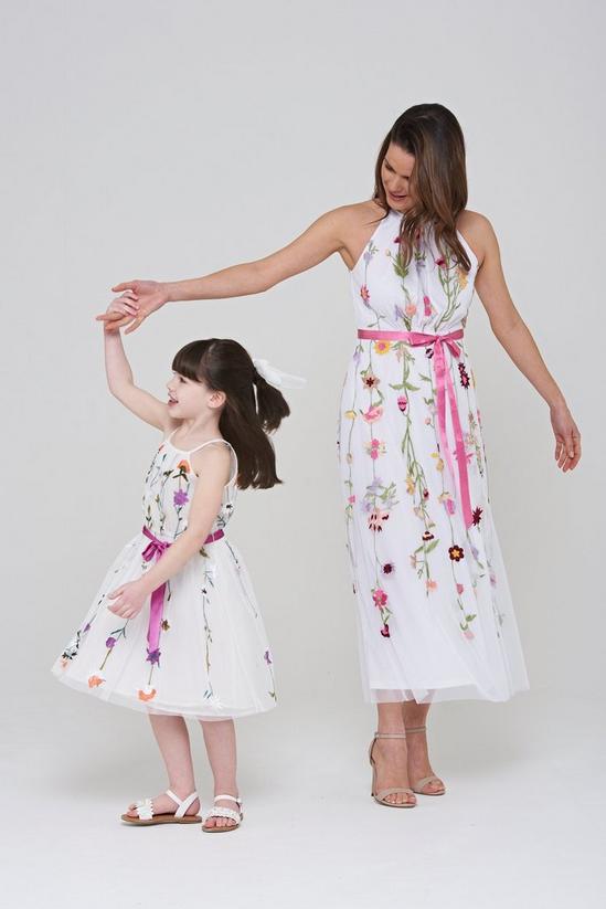 Amelia Rose Floral Embroidered  Dress 5