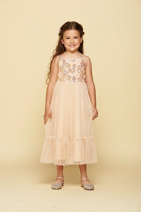 Amelia Rose Sequin Bodice Tiered Skirt Dress 1