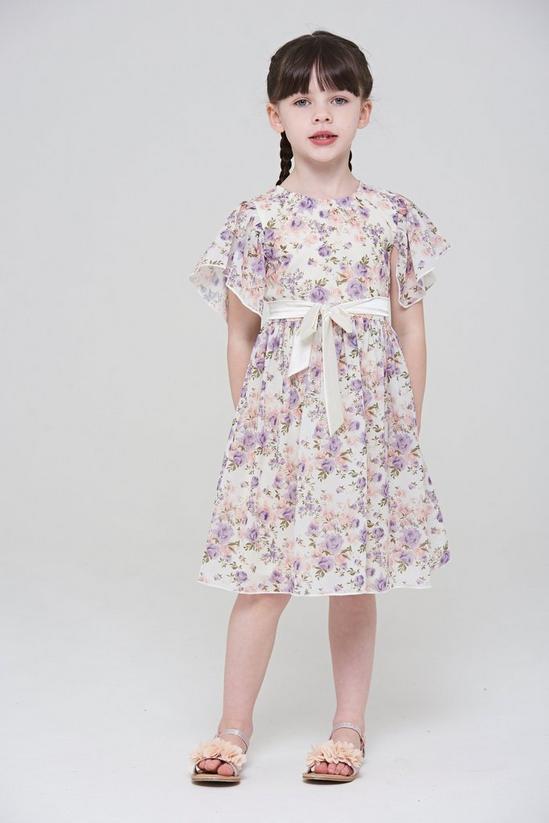 Amelia Rose Floral Print Flutter Sleeve Dress 1
