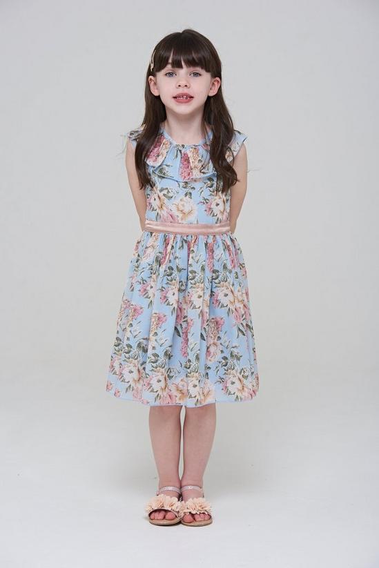 Amelia Rose Floral Print Collar Trim Dress 1