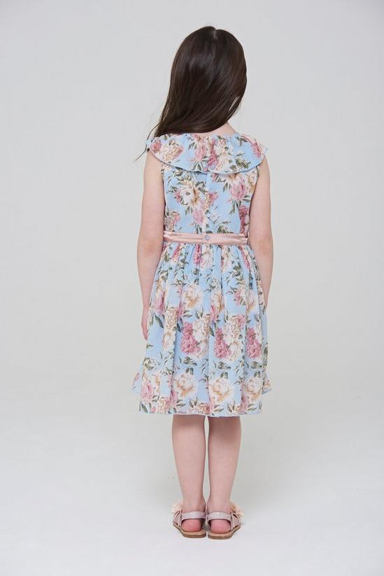 Amelia Rose Floral Print Collar Trim Dress 3