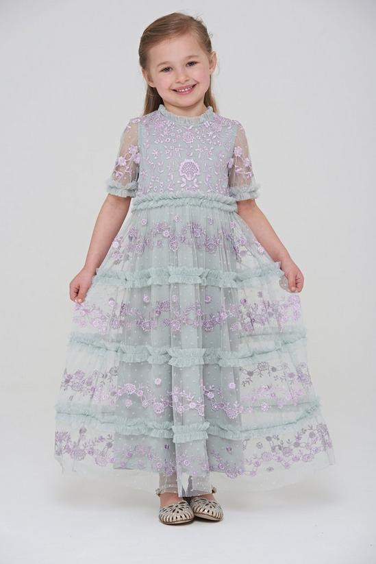 Amelia Rose Embroidered Ruffle Detail Dress 2