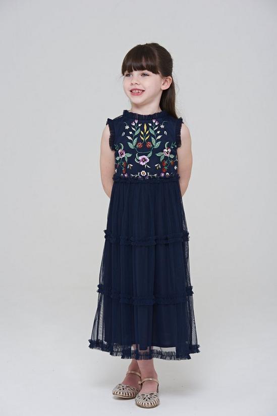 Amelia Rose Floral Embroidered Bodice Dress 1