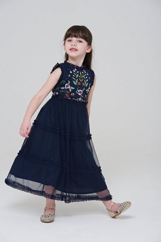 Amelia Rose Floral Embroidered Bodice Dress 2
