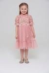Amelia Rose Floral Embroidered Frill Detail Occasion Dress thumbnail 1