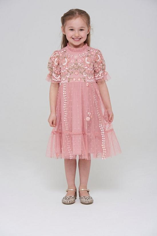 Amelia Rose Floral Embroidered Frill Detail Occasion Dress 1