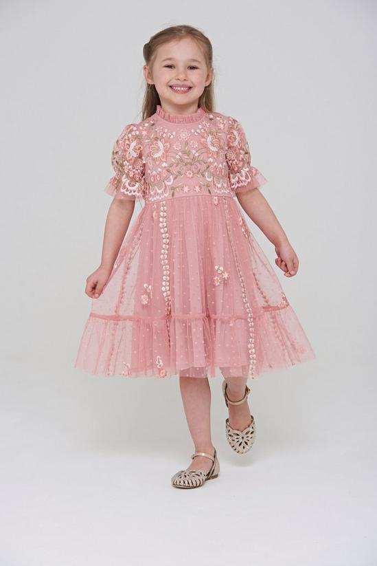 Amelia Rose Floral Embroidered Frill Detail Occasion Dress 2