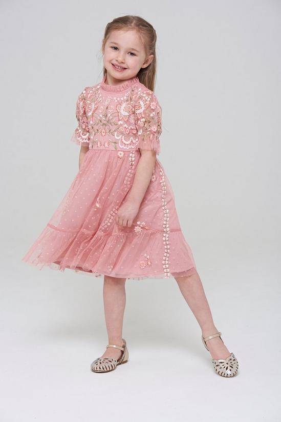 Amelia Rose Floral Embroidered Frill Detail Occasion Dress 3