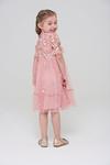 Amelia Rose Floral Embroidered Frill Detail Occasion Dress thumbnail 4