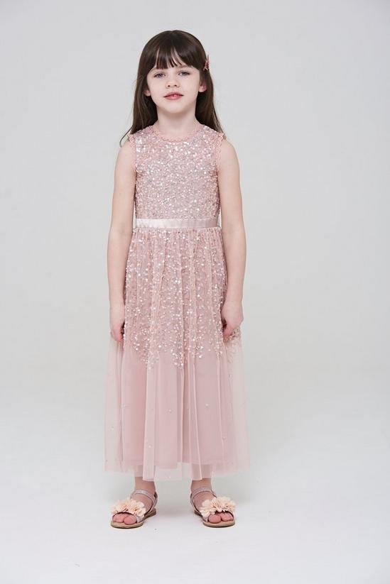 Amelia Rose Sequin Lace Trim Occasion Dress 1