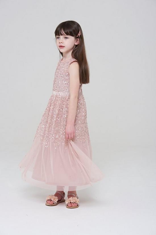 Amelia Rose Sequin Lace Trim Occasion Dress 2