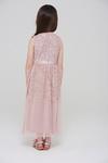 Amelia Rose Sequin Lace Trim Occasion Dress thumbnail 5