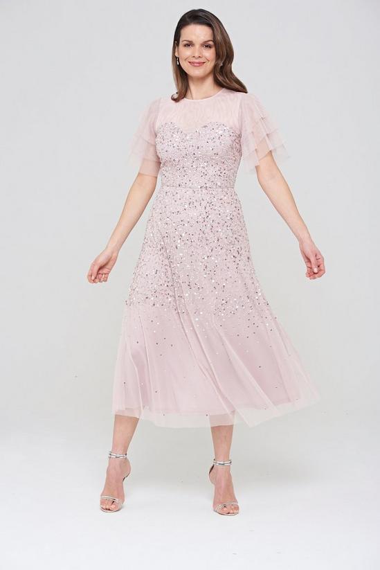 Amelia Rose Embellished Midi Dress 4