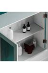 Home Discount Bath Vida Priano 2 Door Mirrored Wall Mounted Cabinet With Shelves Bathroom Storage 470 x 570 x 180 mm thumbnail 5