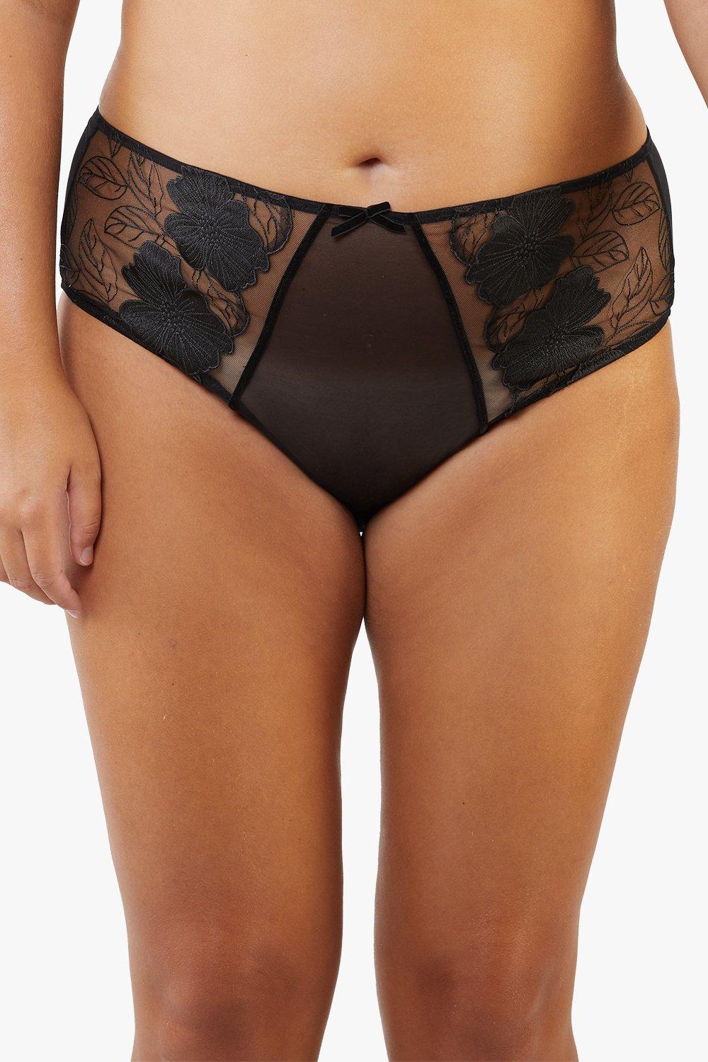 Annika Mesh and Embroidered High Waisted Brief