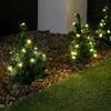 Samuel Alexander 3 Pack of 6 (18) 30cm LED Lit Premier Christmas Tree Path Lights (15 LEDs Per Tree) thumbnail 3