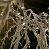 Samuel Alexander Premier 180cm Christmas Flocked Willow Tree 200 Warm White Lights and Flash Function thumbnail 2