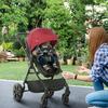 HOMCOM Foldable Travel Baby Stroller with Fully Reclining From Birth to 3 Years thumbnail 2