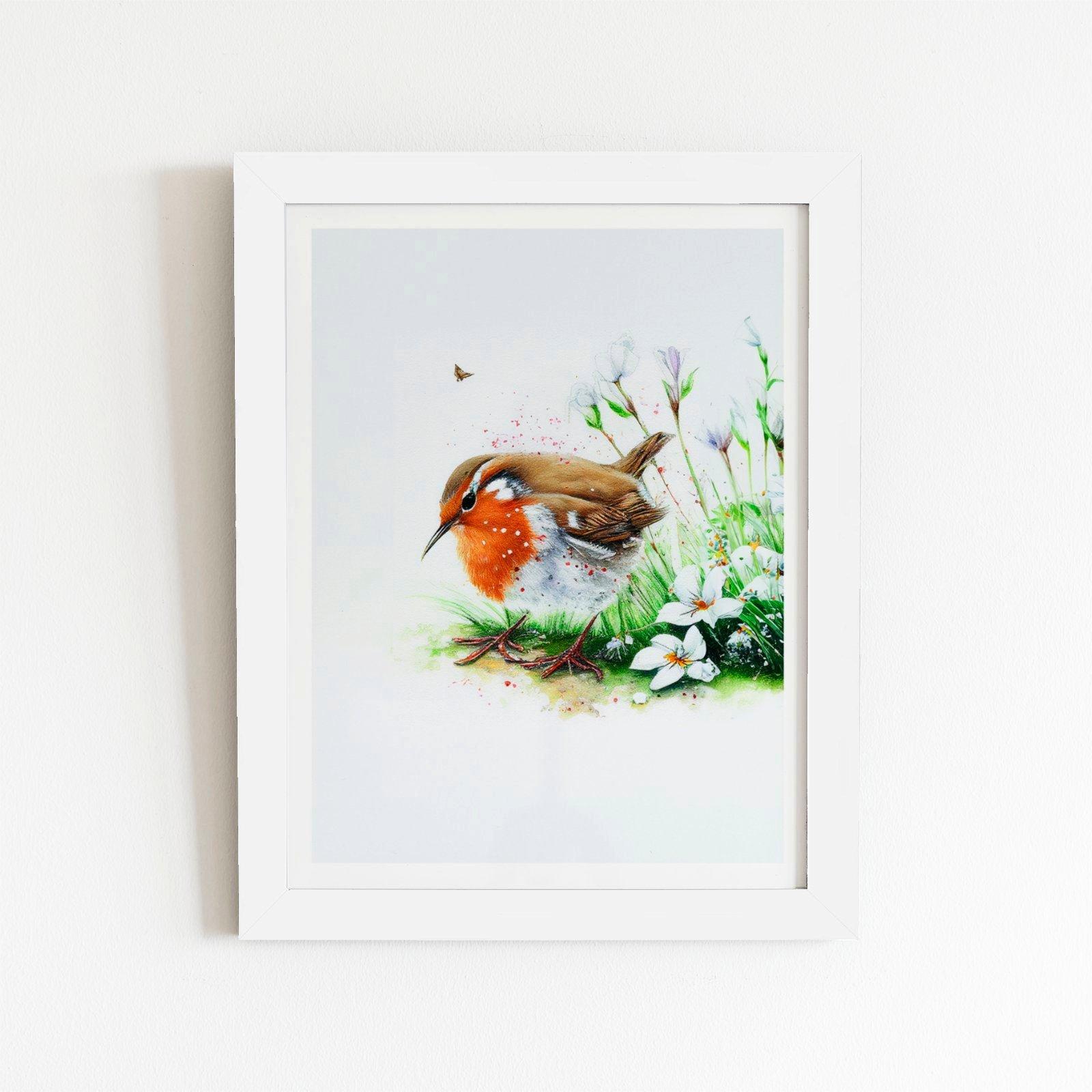 Robin And Daisies Watercolour Framed Art Print